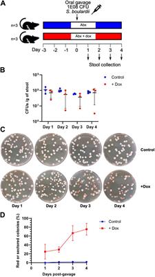 Engineering a colorimetric yeast-based assay to detect small molecules in the gastrointestinal system